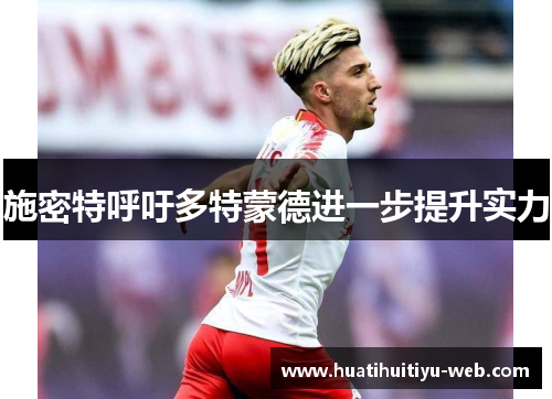 施密特呼吁多特蒙德进一步提升实力